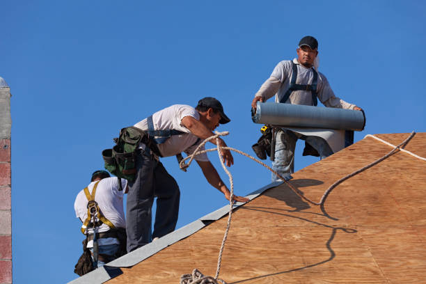 Best Flat Roof Repair Services  in Roscoe, TX
