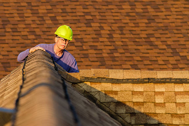 Best Metal Roofing Contractor  in Roscoe, TX